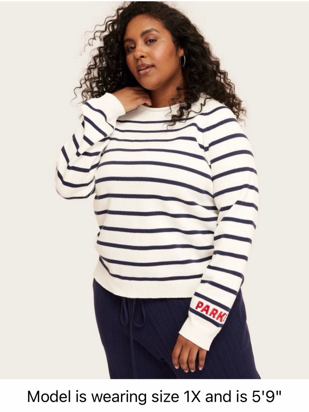 Parke x Target Rollneck Striped Pullover Sweater - Navy Blue 3X